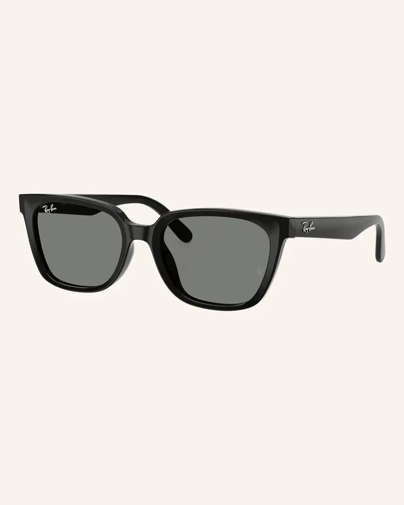 Ray Ban Sonnenbrille rb2243d schwarz Schwarz