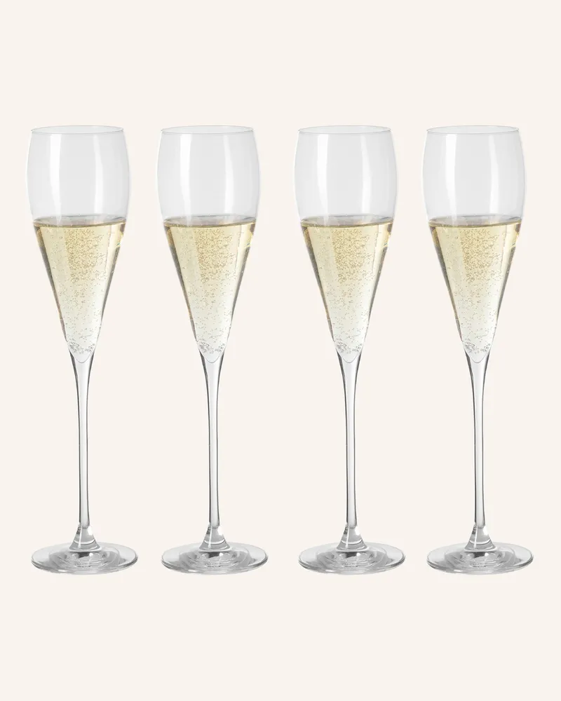 Fink Champagnerglas Premio transparent Weiss