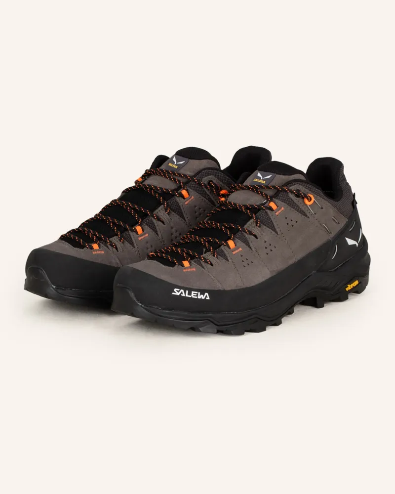 Salewa Wanderschuhe ALP TRAINER 2 GTX Braun