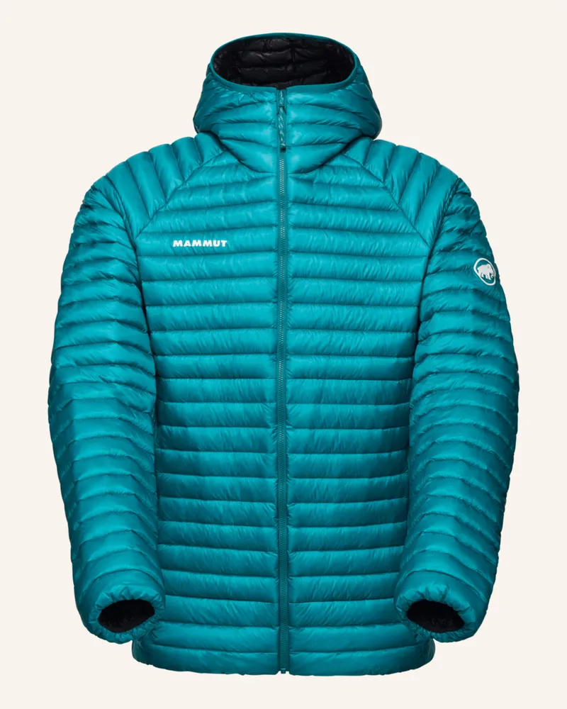 Mammut Mammut Aenergy IN Hooded Jacket Men Grün