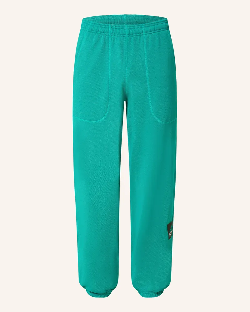 adidas Sweatpants EQUIPMENT REFLECTIVE Grün