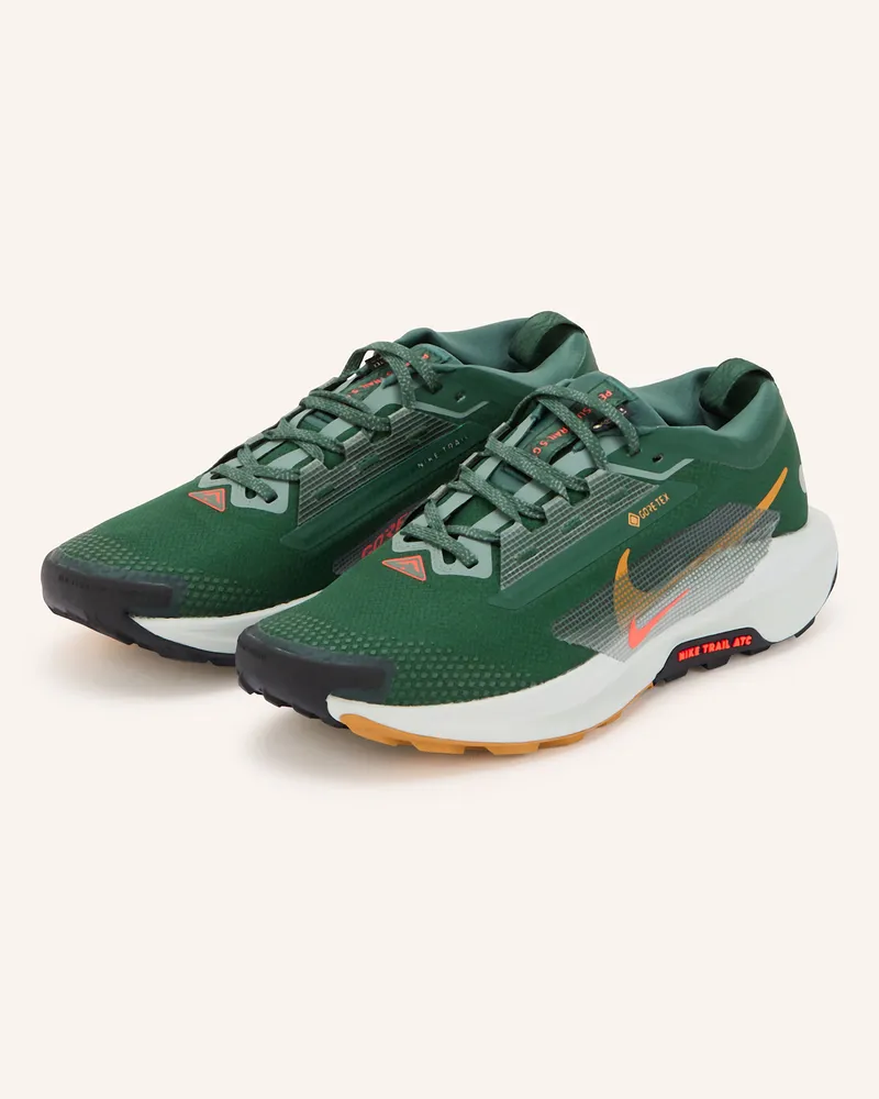 Nike Trailrunning-Schuhe PEGASUS TRAIL 5 GTX Grün