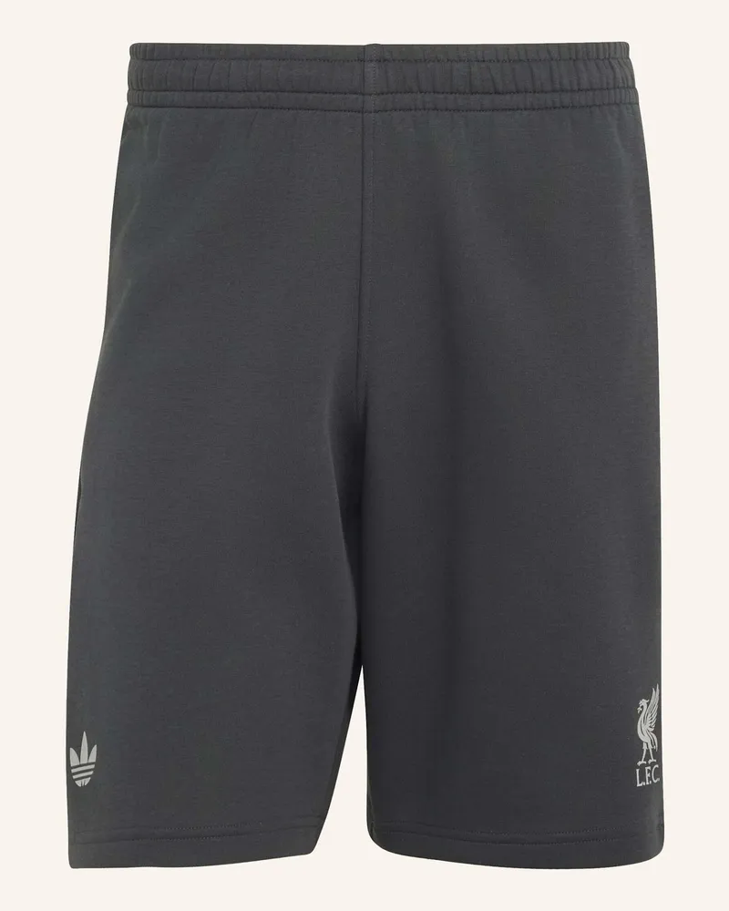 adidas Fc Liverpool 26/27 Originals Teamgeist 26 Shorts grau Grau