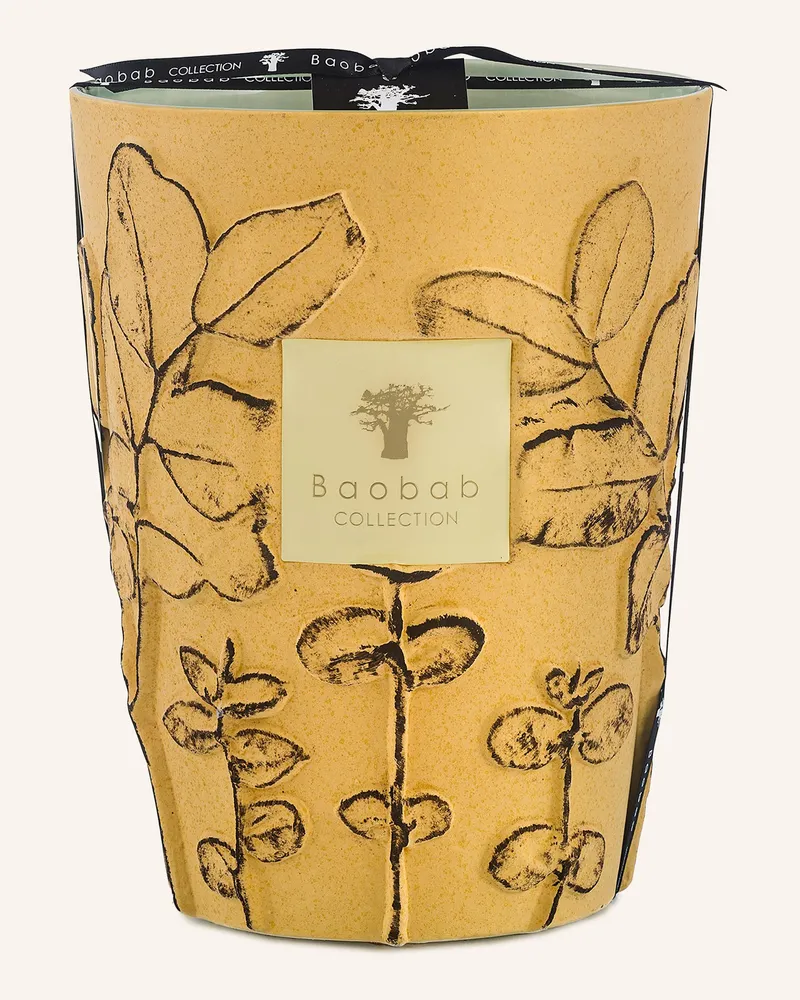 Baobab Collection Duftkerze GARRIGUE Dunkelgelb