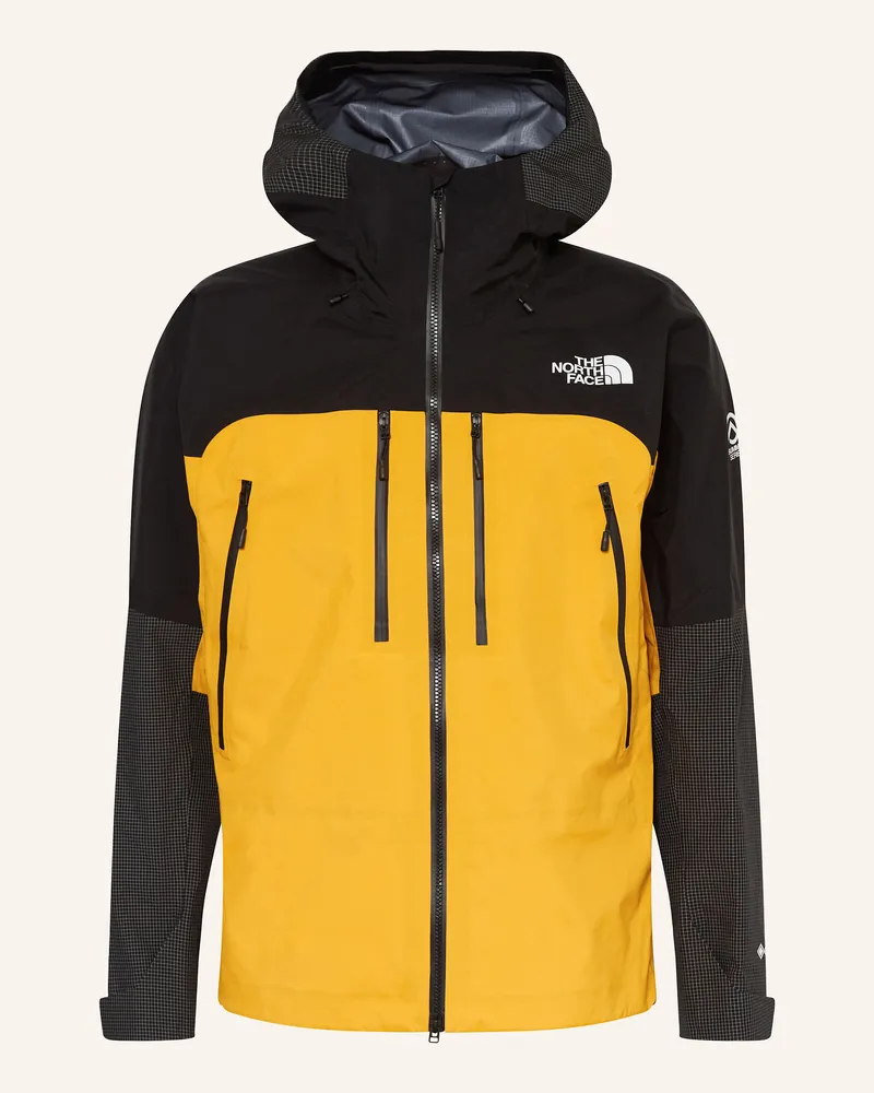 The North Face Hardshell-Jacke SUMMIT MOUNTAIN GTX PRO Schwarz