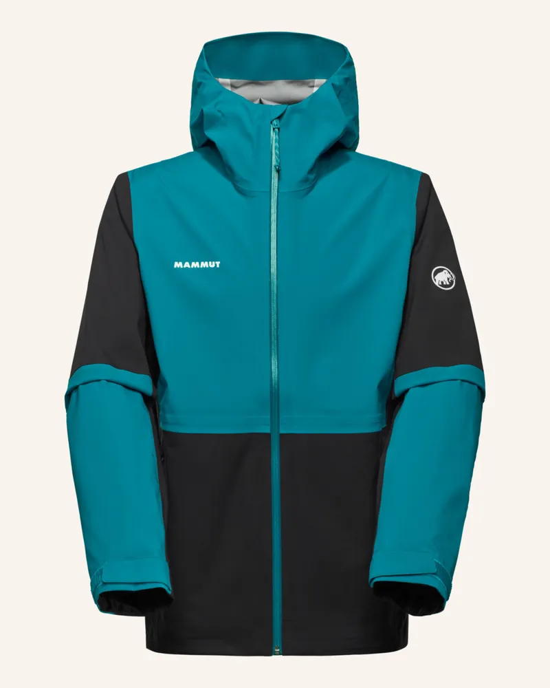 Mammut Hardshell-Jacke Linard Guide Hs schwarz Schwarz