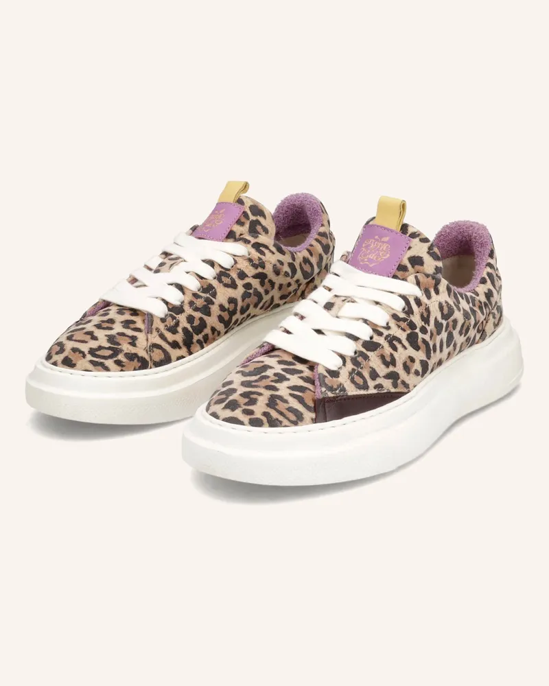 Apple of Eden Sneaker Dunkelbraun