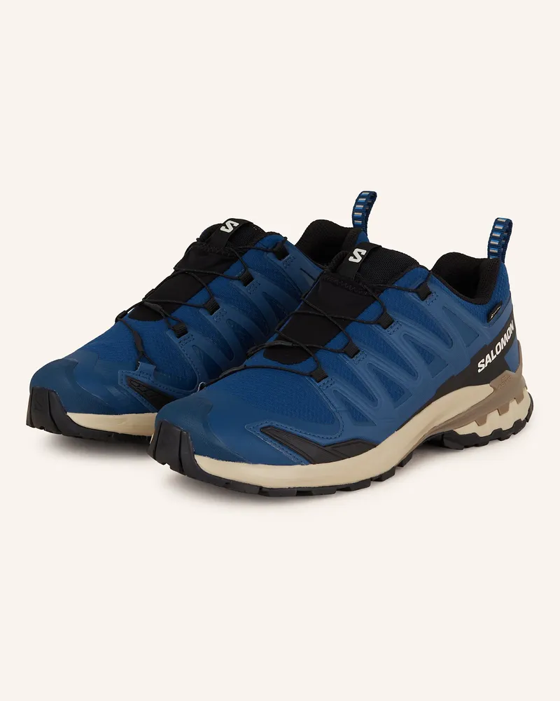 Salomon Wanderschuhe XA PRO 3D V9 GTX Dunkelblau