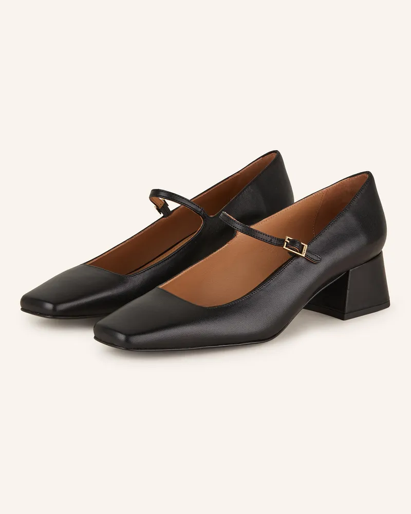 Flattered Pumps EVAN Schwarz