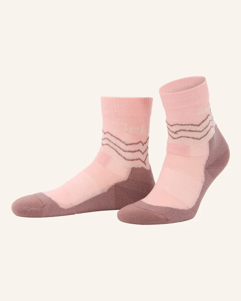Icebreaker Trekking-Socken HIKE Rosa