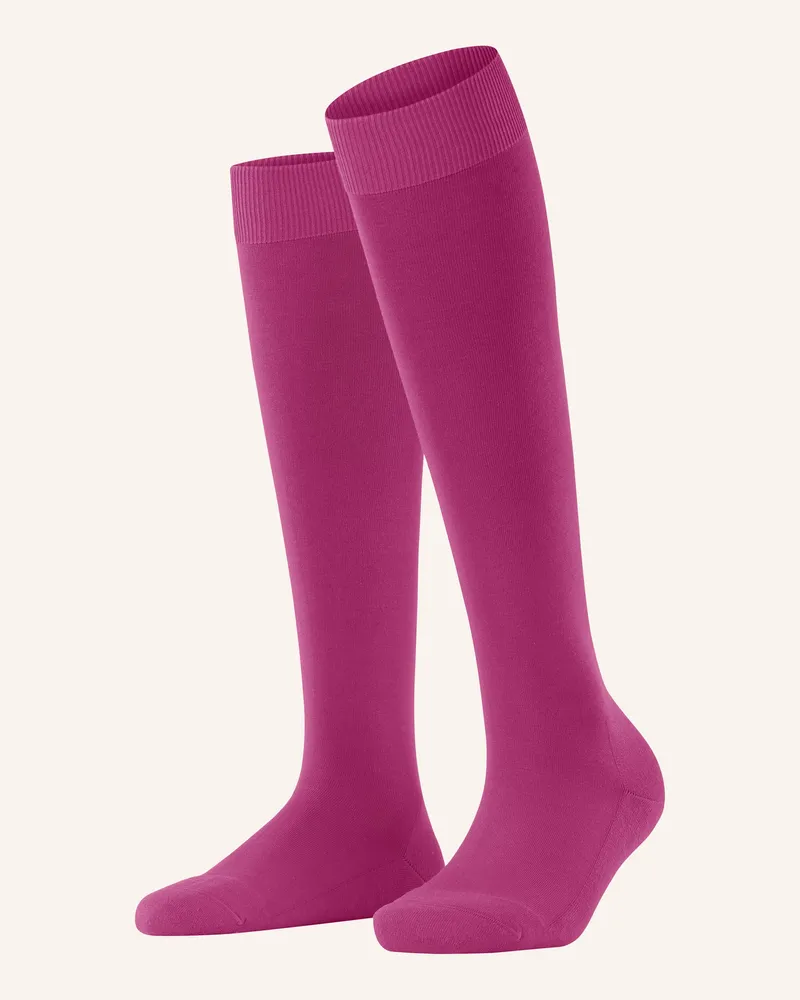 Falke Kniestrümpfe CLIMAWOOL 8390