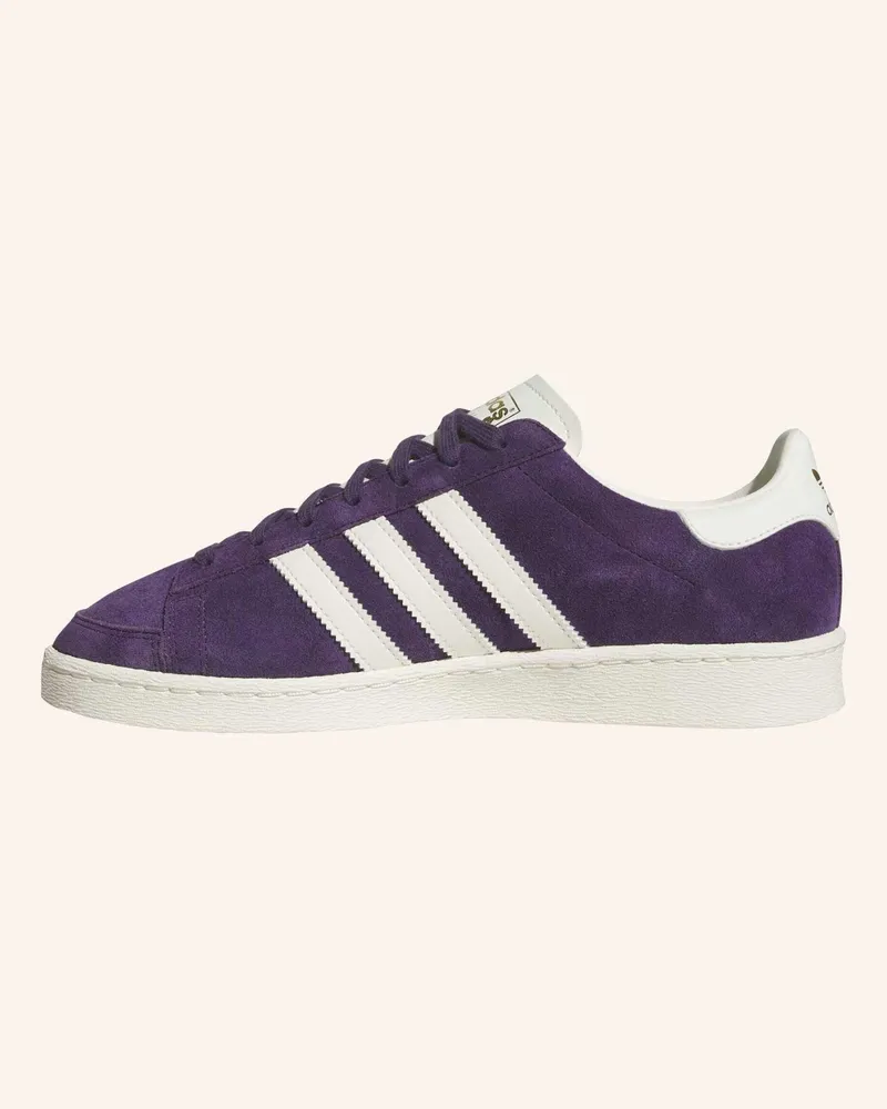 adidas JABBAR LO SCHUHE Lila