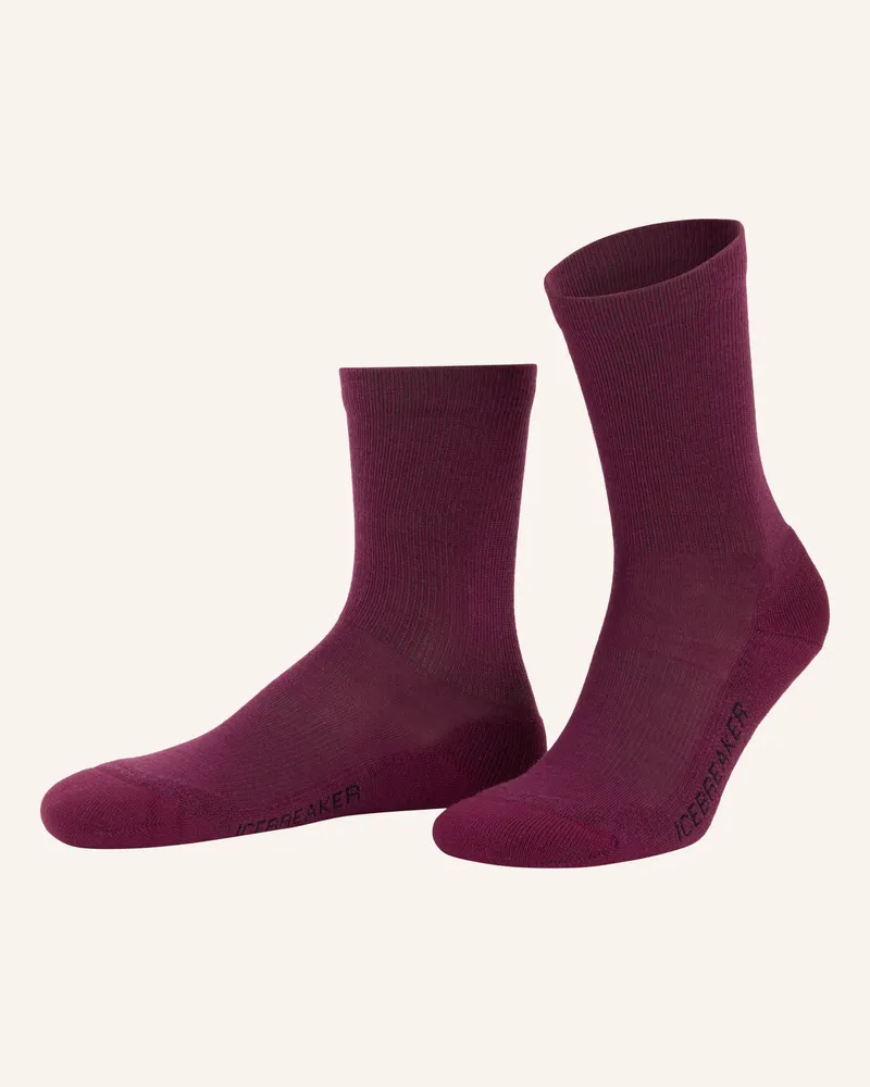 Icebreaker Trekking-Socken Lifestyle Mit Merinowolle lila Fuchsia