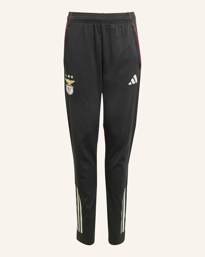 adidas Benfica Lissabon Tiro 25 Competition Kids Trainingshose schwarz Schwarz