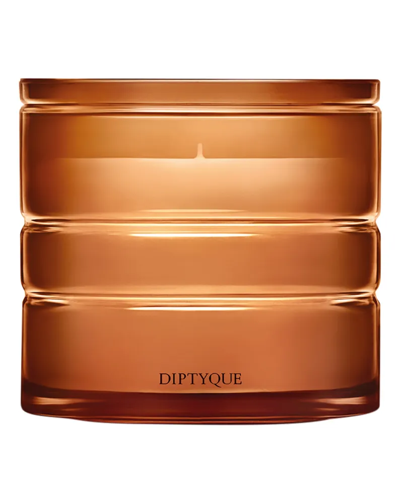 Diptyque Terres Blondes Duftkerze 220 g 