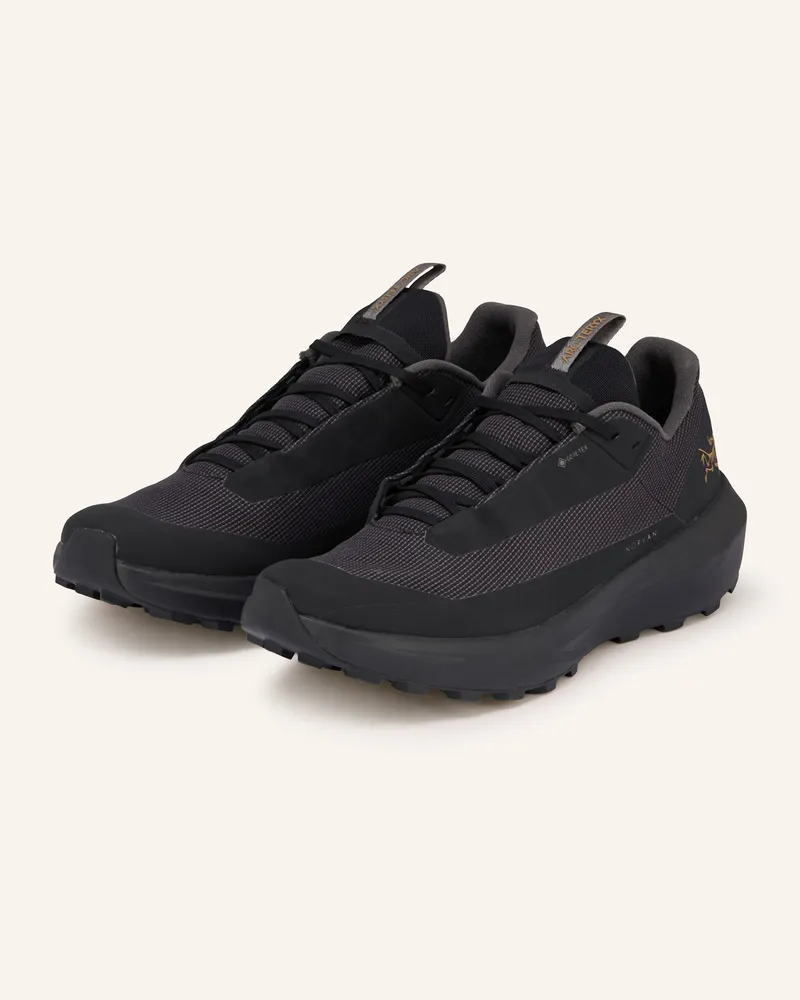Arc'teryx ARC'TERYX Trailrunning-Schuhe NORVAN LD 4 GTX Schwarz