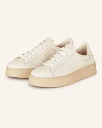 Attilio Giusti Leombruni Sneaker GIULY - CREME Beige