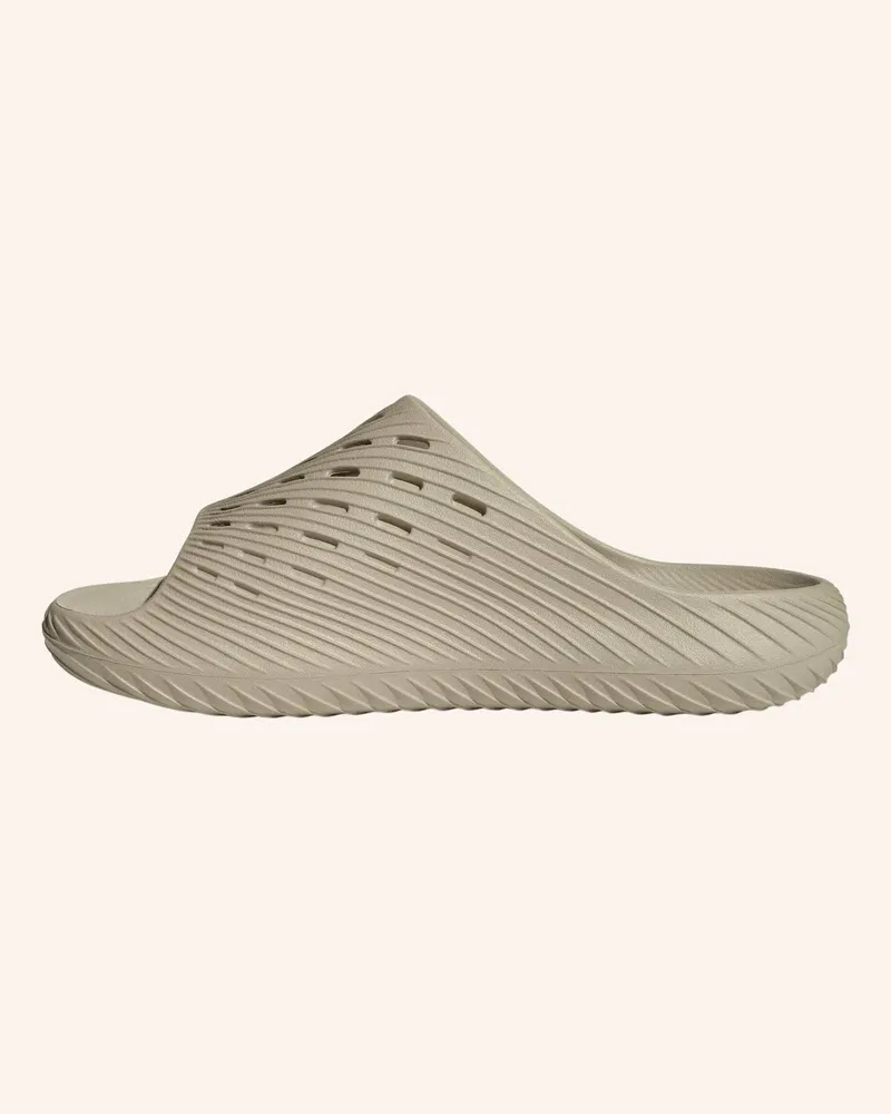 adidas Purechill Slides beige Beige