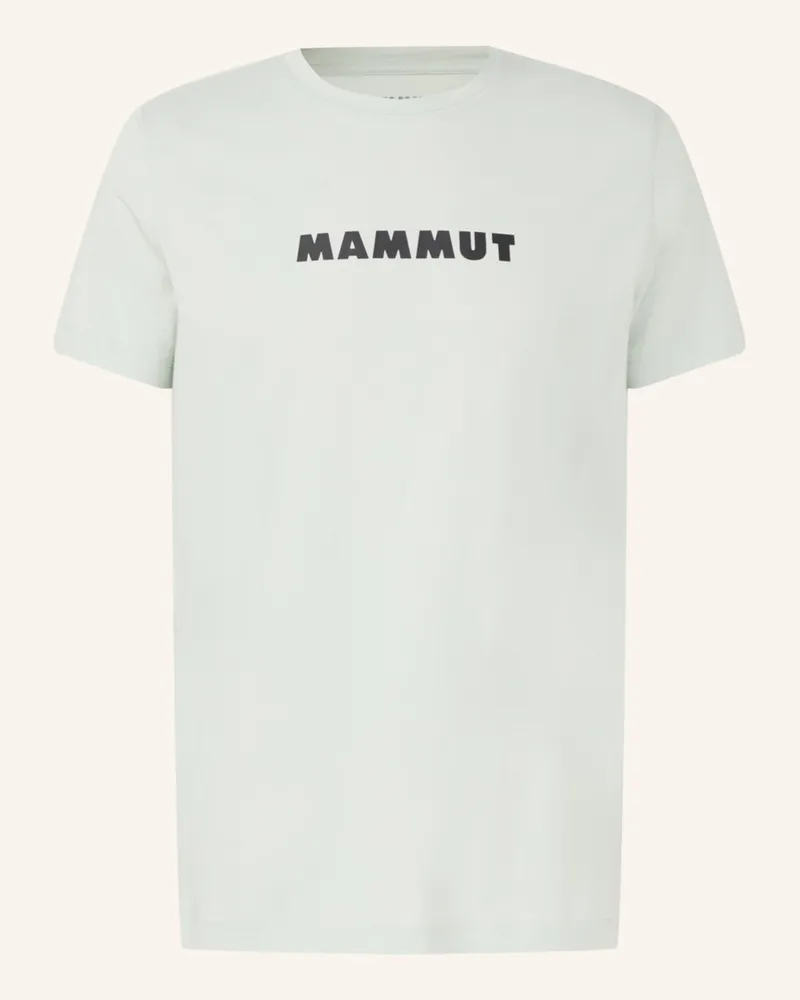 Mammut T-Shirt Core Logo gruen Grün
