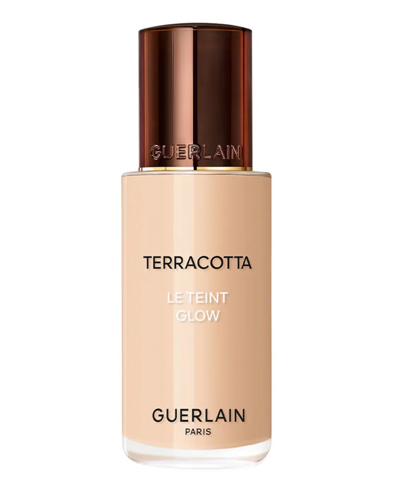 Guerlain Terracotta Le Teint Glow Foundation 1n