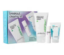 Breakout Clearing Kit Pflege-Set