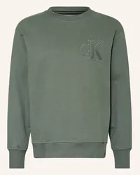 Calvin Klein Sweatshirt Grau