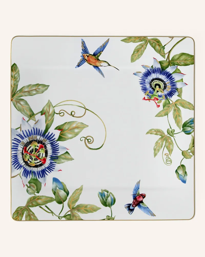 Villeroy & Boch Gourmetteller Amazonia weiss Gelb