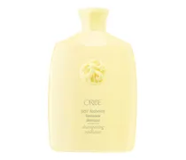 Hair Alchemy Resilience Shampoo 250 ml