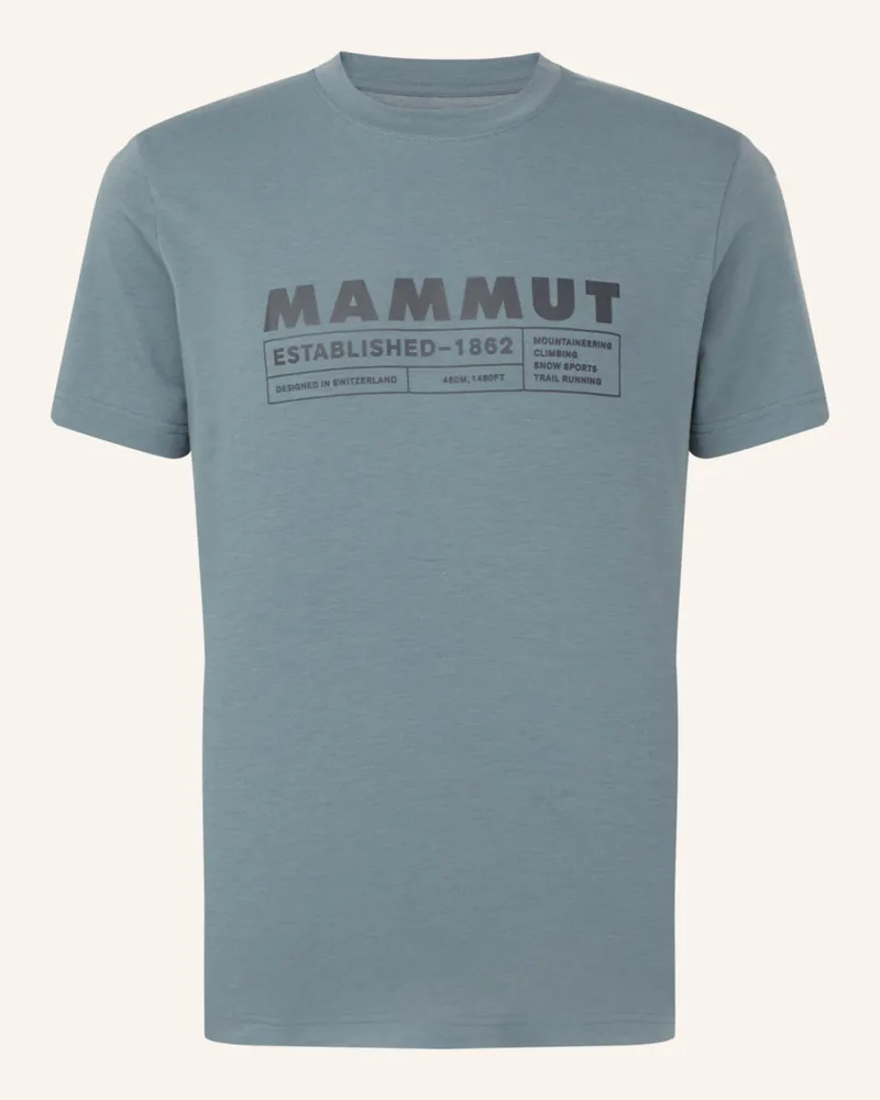 Mammut T-Shirt Trovat Logo grau Grau