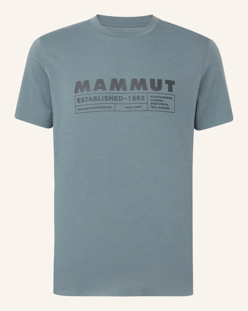 Mammut T-Shirt Trovat Logo grau Grau