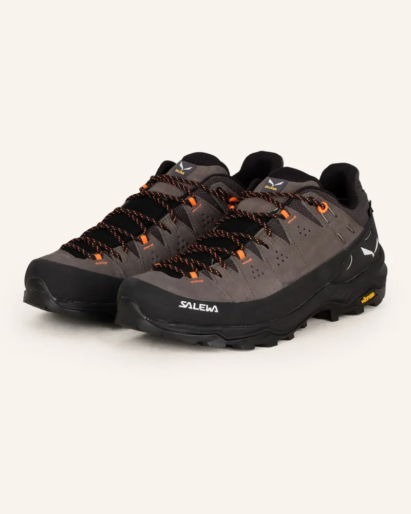 Salewa Multifunktionsschuhe ALP TRAINER 2 GTX Beige