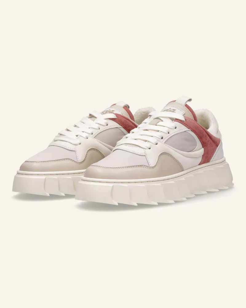 Apple of Eden Sneaker Beige