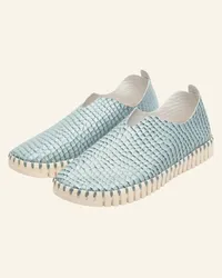 Ilse Jacobsen Slipper TULIP3031 - HELLBLAU Blau