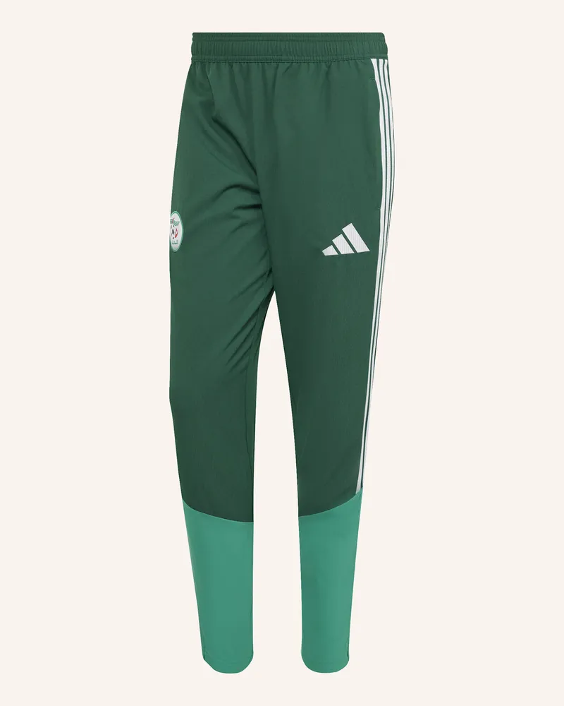 adidas ALGERIEN 26 PRÄSENTATIONSHOSE Grün
