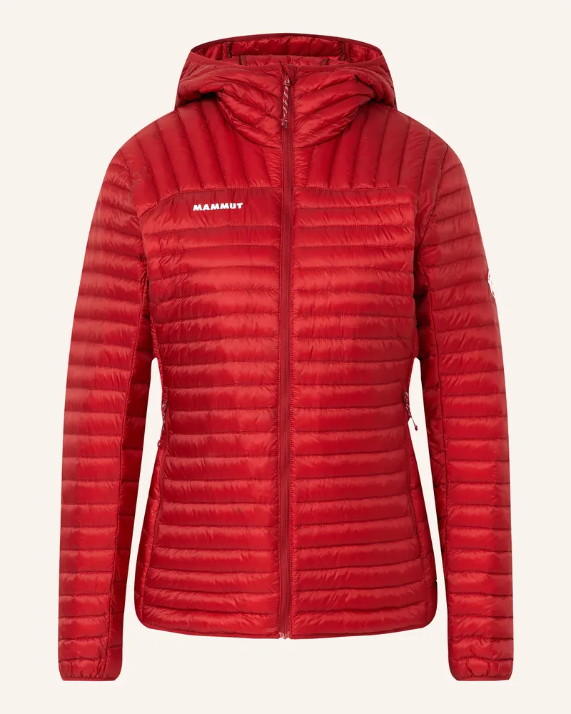 Mammut Lightweight-Daunenjacke Broad Peak Light In rot Rot