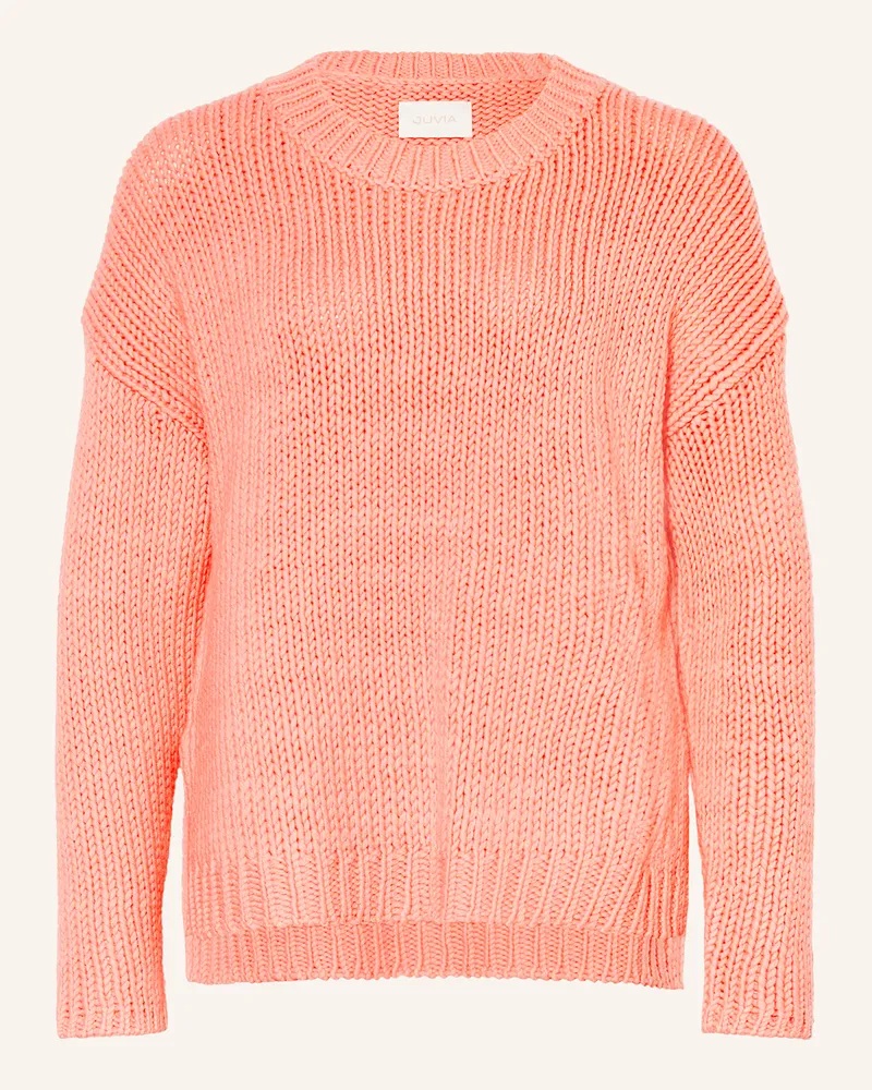 Juvia Pullover DION Lachs