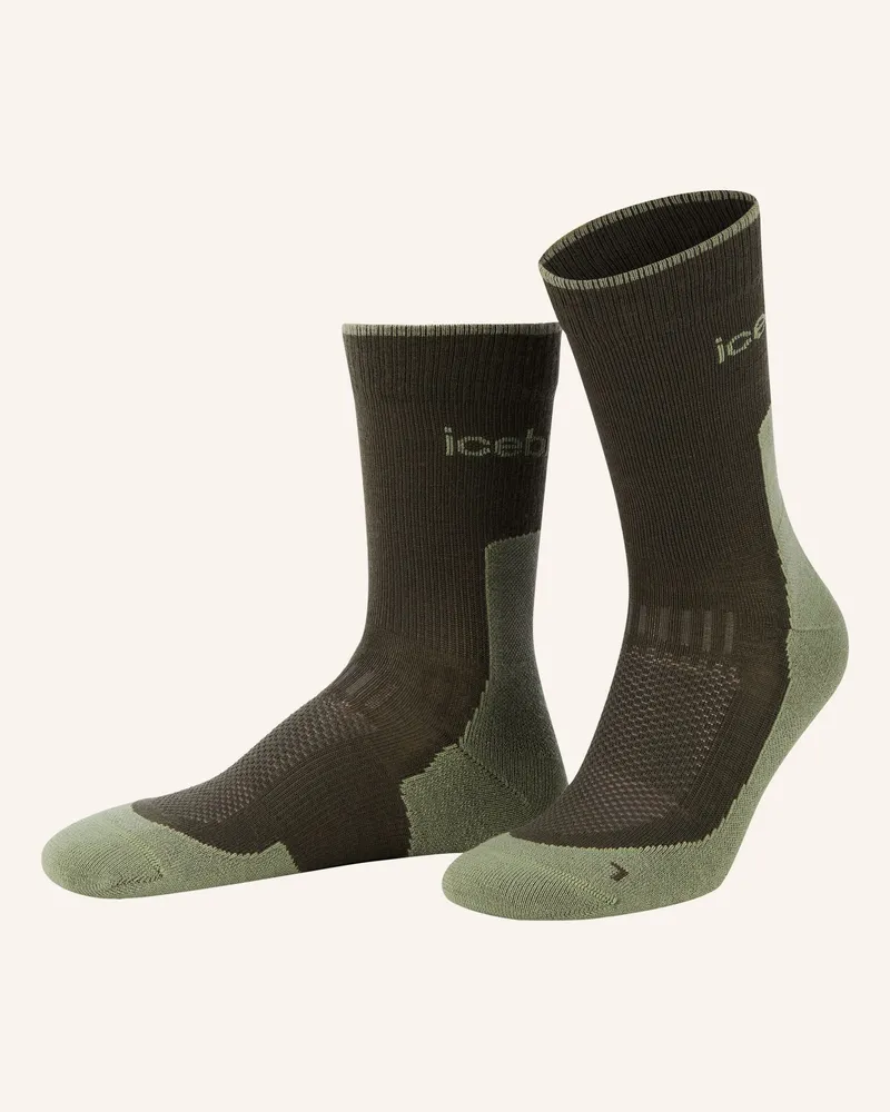 Icebreaker Trekking-Socken Mit Merinowolle gruen Dunkelgrün