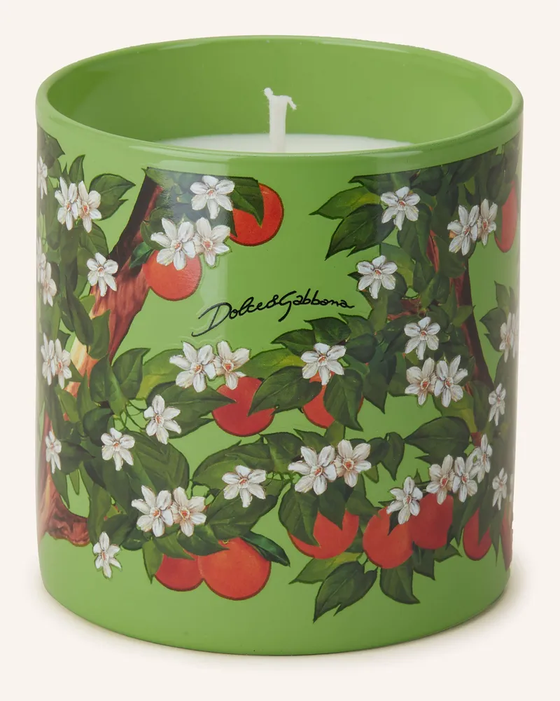 Dolce & Gabbana Casa Duftkerze ARANCE DI SICILIA Hellgrün