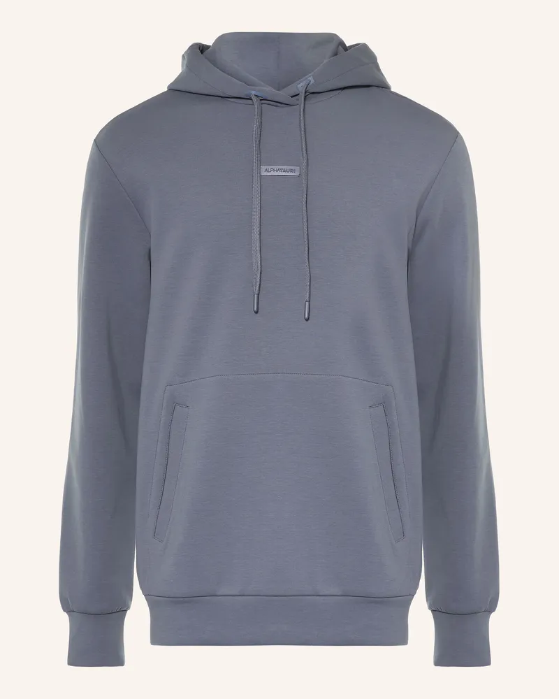 AlphaTauri Hoodie Sky blau Blaugrau
