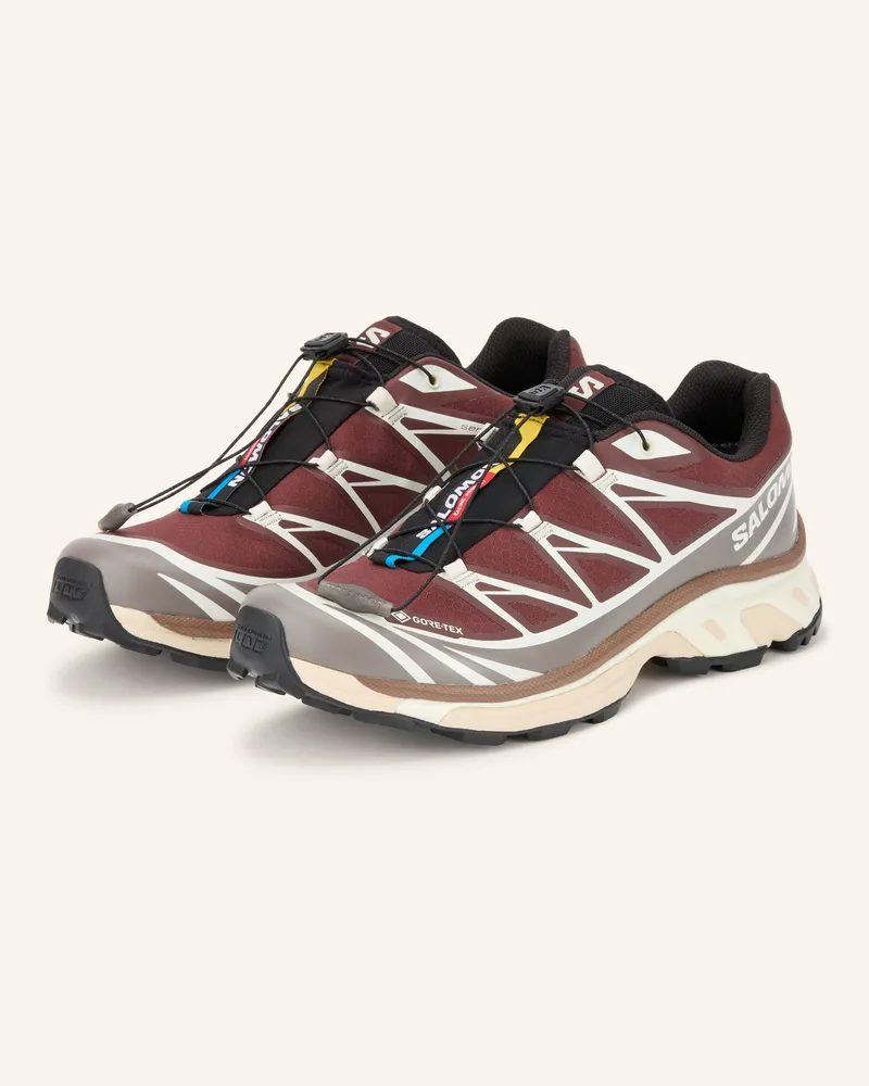 Salomon Sneaker Xt-6 Gtx braun Braun