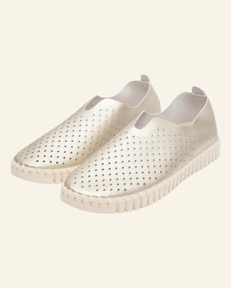 Ilse Jacobsen Slipper TULIP3576 Gold