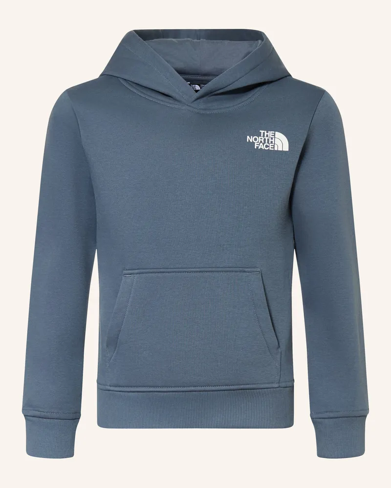 The North Face Hoodie Reen Box Nse grau Blaugrau