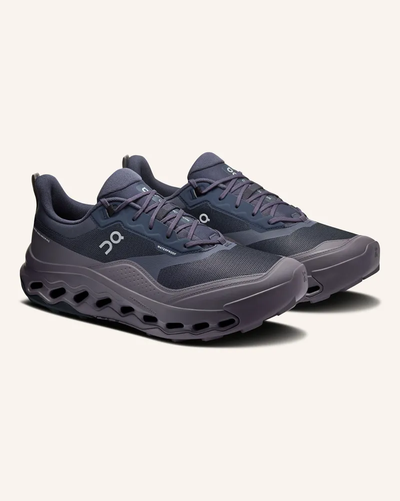 ON Wanderschuhe Cloudhorizon 2 Waterproof grau Dunkelgrau
