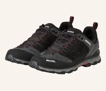Wanderschuhe Lite Trail Gtx grau