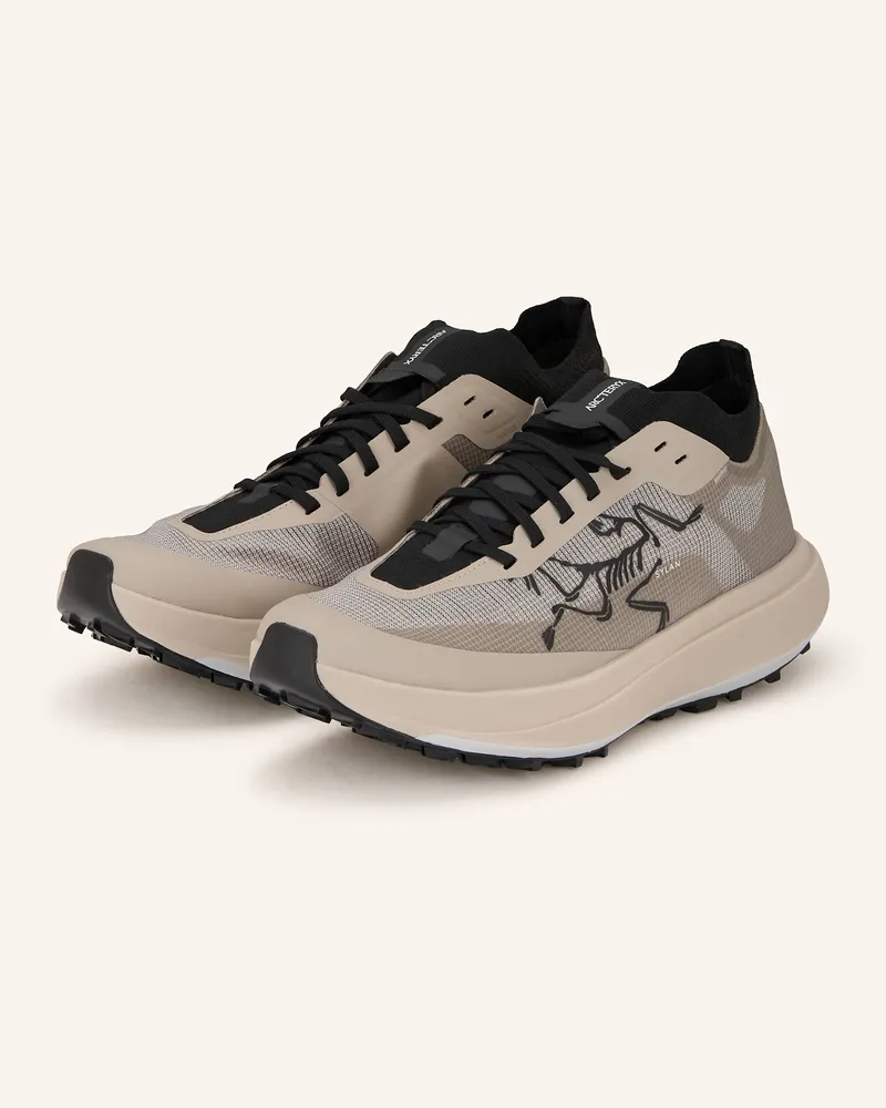 Arc'teryx Arc'teryx Trailrunning-Schuhe Sylan Pro weiss Grau