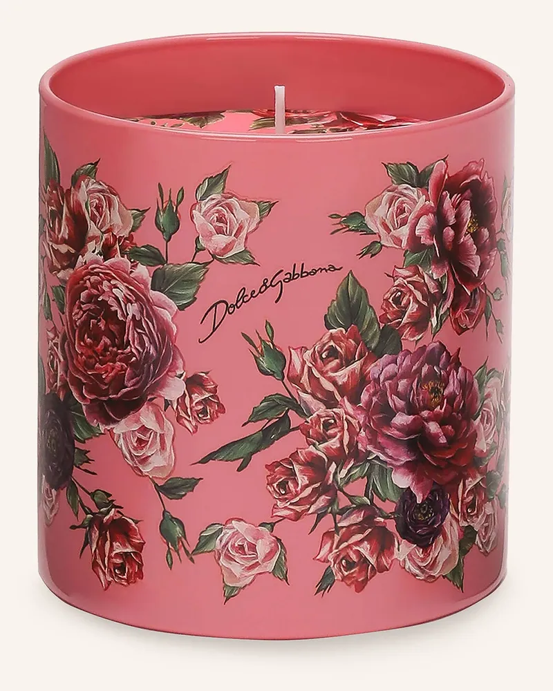 Dolce & Gabbana Casa Duftkerze Rosa Muschiata rosa Weiss