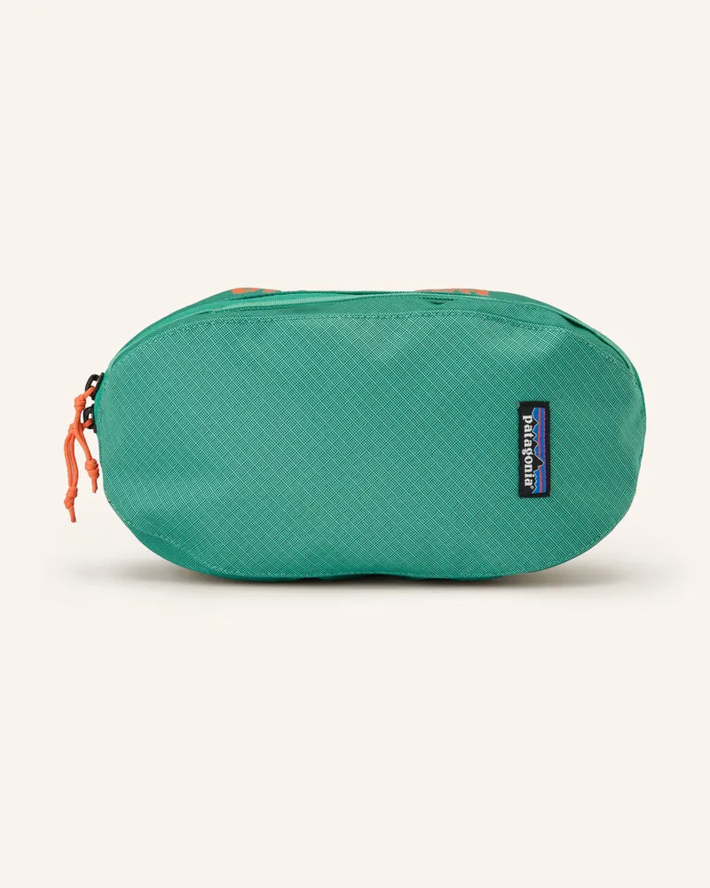 Patagonia Kulturtasche BLACK HOLE® 3 l Grün