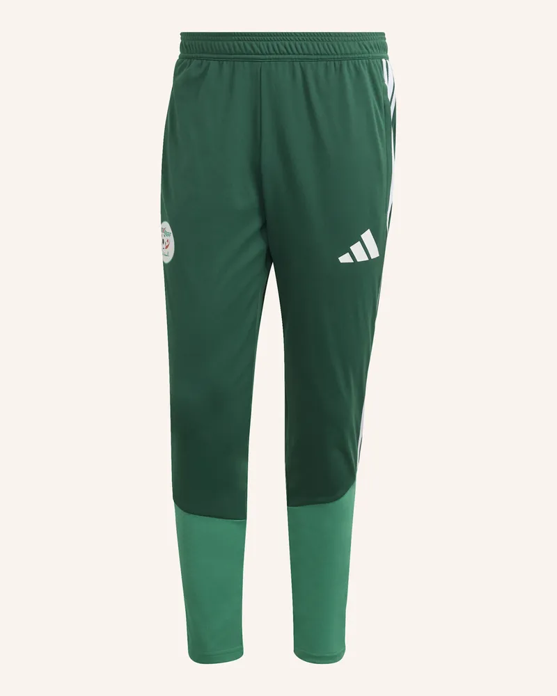 adidas ALGERIEN 26 TRAININGSHOSE Grün