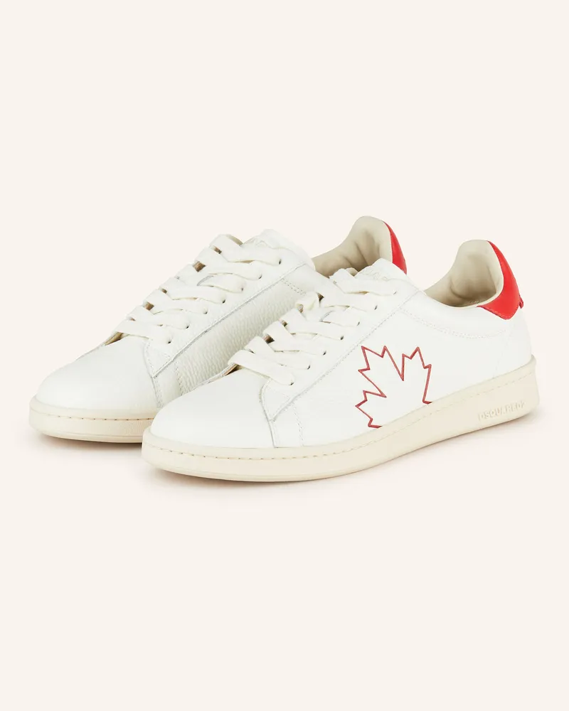 Dsquared2 Sneaker BOXER Ecru