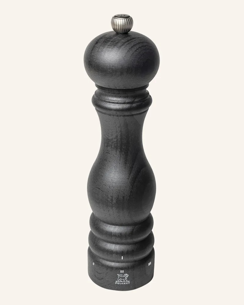 Peugeot Pfeffermühle Paris grau Grau